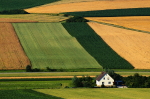 Crop Rotation_FI Crop Rotation_FI