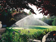 Secrets from the Pros for a Lush Lawn and Landscape