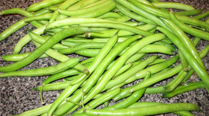 How to Grow Green Beans