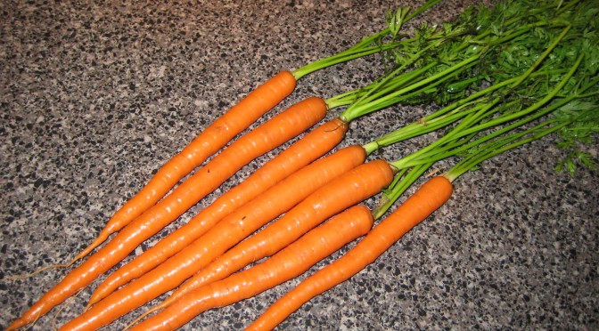 Carrots: A Complete Planting Guide
