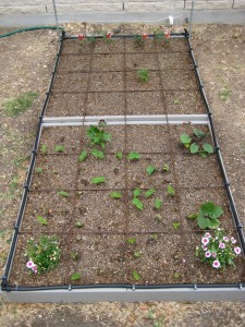Square Foot Garden Beds - Drip Irrigation 001