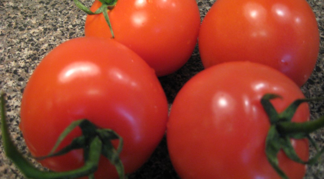 Tomatoes The How Do Gardener