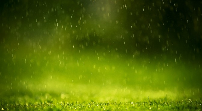 Rainwater Harvesting:  Reasons to Consider