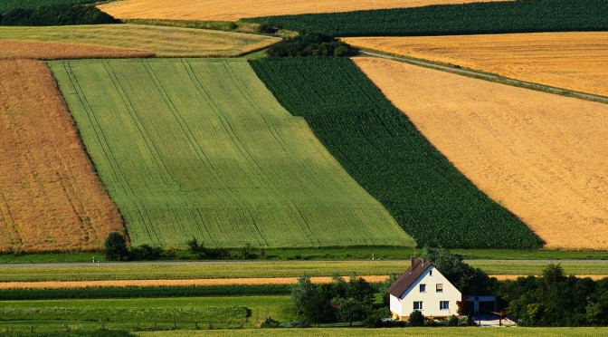 Crop Rotation in the Home Garden